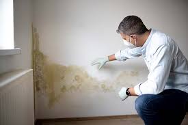 Best Airborne Mold Testing  in USA